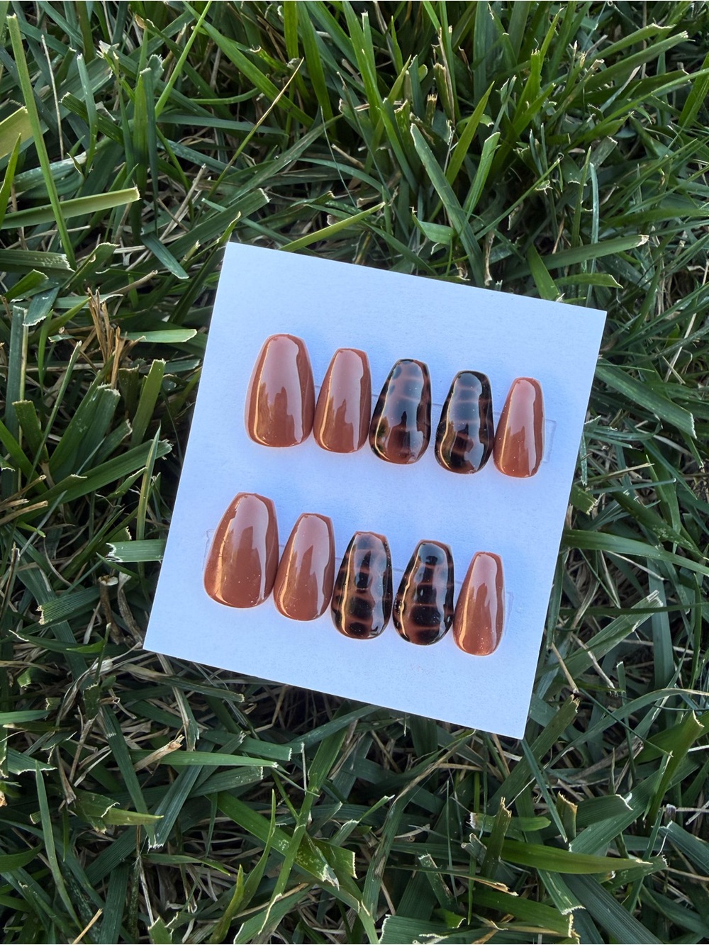 Press-On Nail Set - Brown Tortoiseshell Accent Large